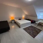 Goscinne Panda Karwia